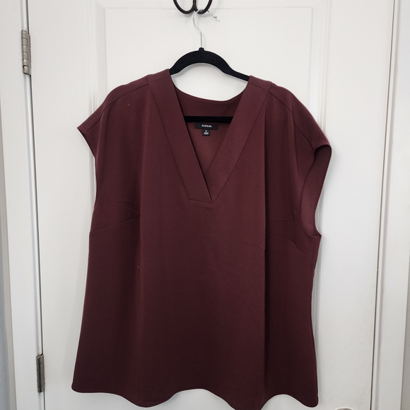 Alfani Tops - 5/$30 Alfani Women's Brown V-Neck  Shell Blouse Size 2X